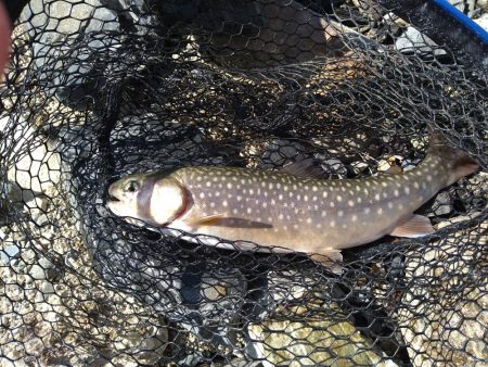 2ヶ月半ぶり釣行